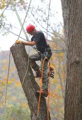 Prescott Tree Service business image in Prescott, AZ